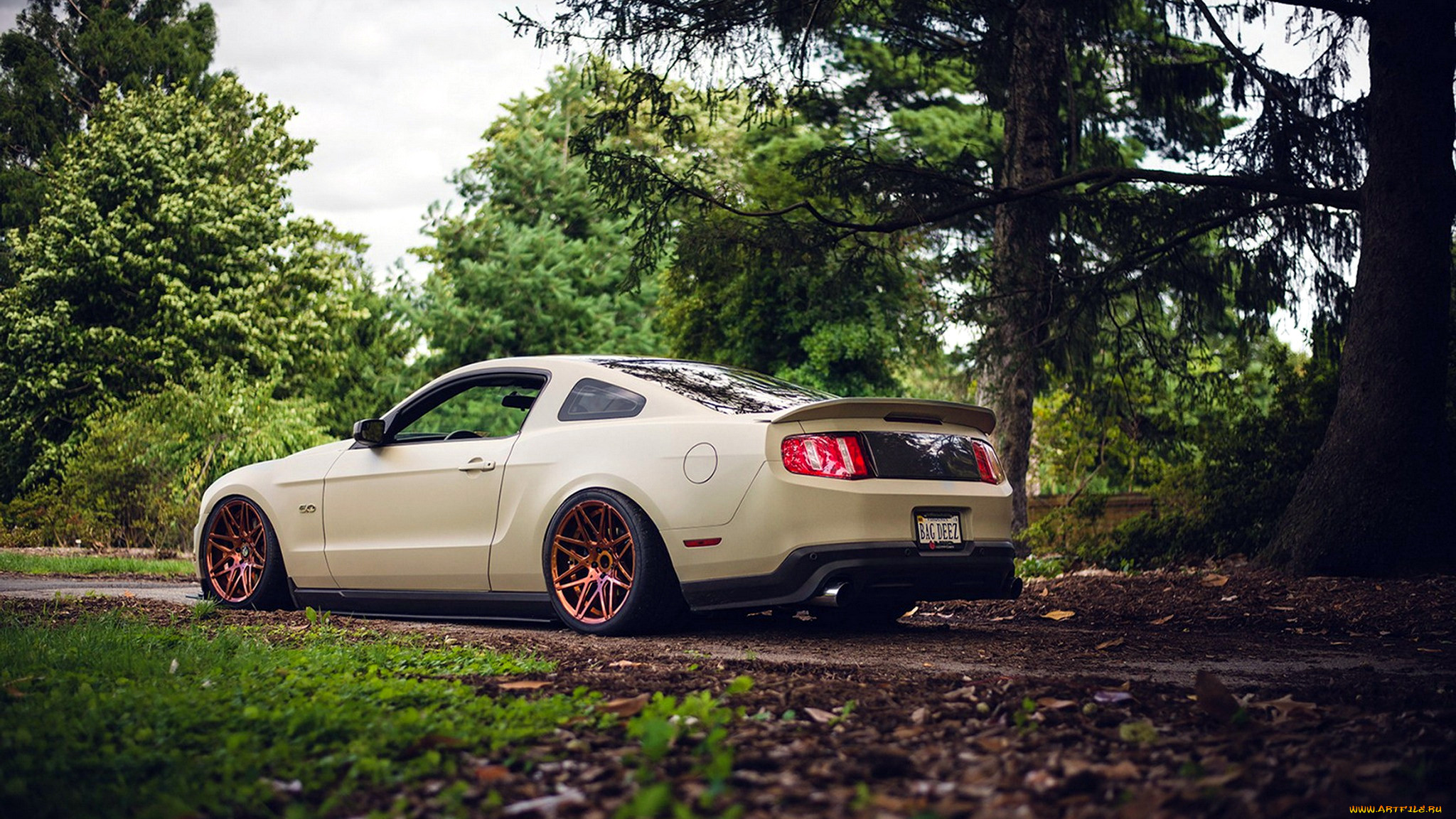ford mustang, , mustang, ford, motor, company, , , 